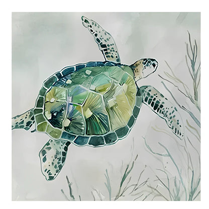 Frameless turtle canvas printing poster in 40x40cm square size with detailed picture colours