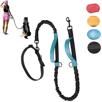 Nylon hands-free dog leash with adjustable waist belt shown in multiple colours