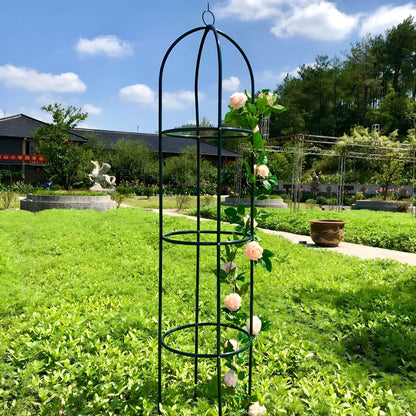 Dark green wrought iron plant climbing frame with lattice design measuring 188cm tall