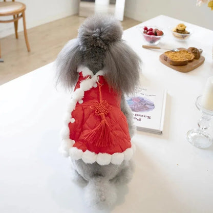 Red Chinese-style pet clothing with thick fur collar and traditional knot fastening for autumn and winter wear