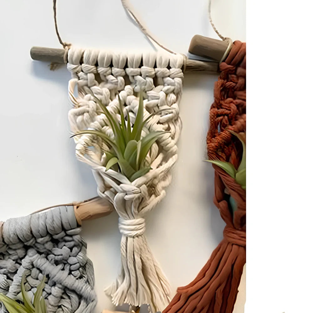 Hand-woven cotton macrame plant hanger with 15cm wooden basket displaying air plant