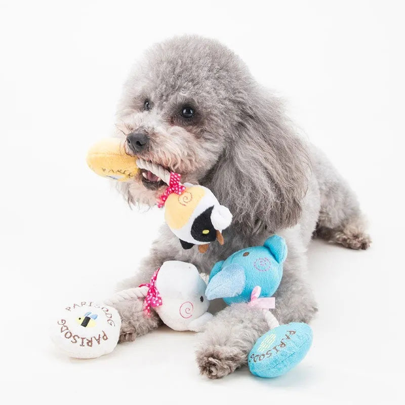 Blue frog plush dog toy with cotton rope elements and squeaker for interactive play