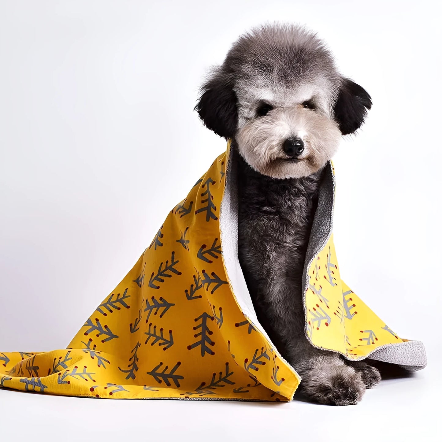 Double-sided cotton wool pet blanket in dinosaur print showing reversible construction