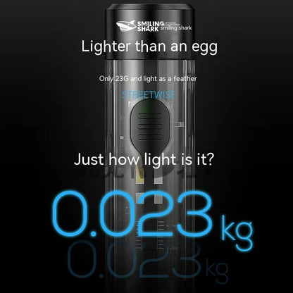 Black plastic USB rechargeable handheld flashlight with charging cable.