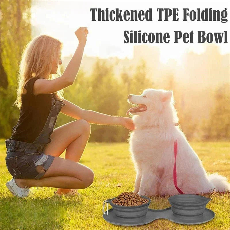 Spill-Proof Collapsible Pet Bowls for Dogs and Cats - Double-bowl Design with Non-Skid Silicone Mat