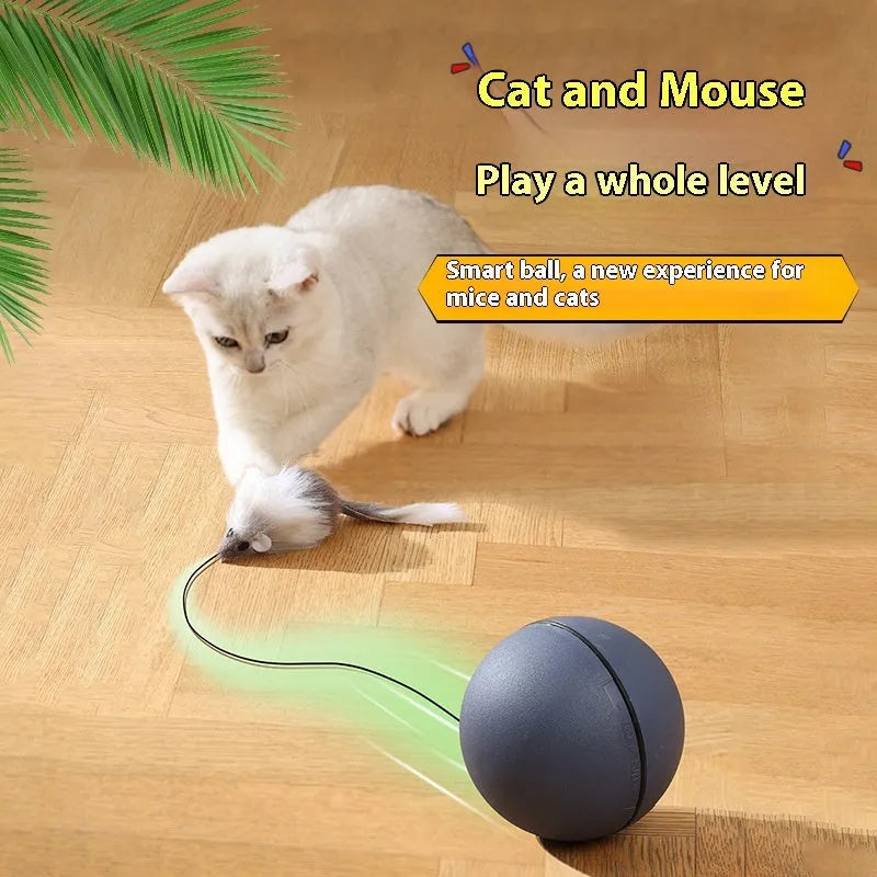 Automatic cat teasing ball toy with plush mouse, intelligent rolling electric pet toy suitable for cats and dogs, made from ABS plastic and plush materials in blue orange or dark grey colour options
