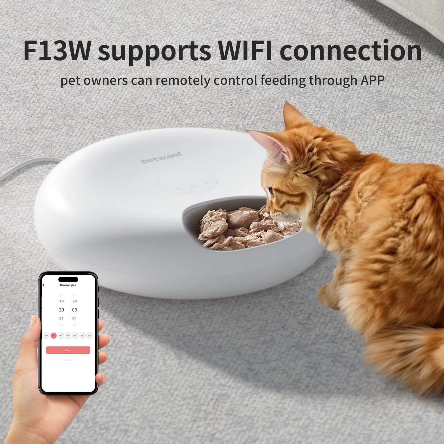 Donut Frost WiFi 6 automatic pet food dispenser with app control and ice packs for freshness