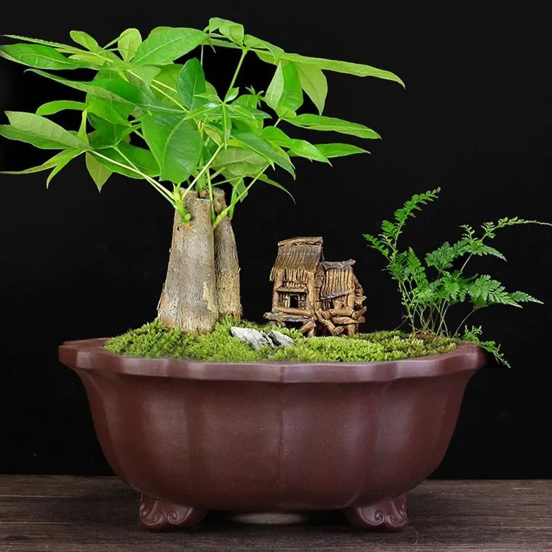 Large purple sand ceramic diamond flower pot for indoor bonsai and living room display