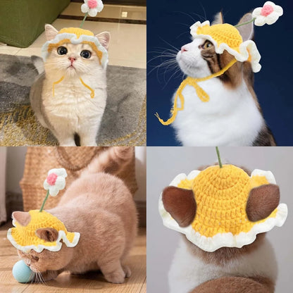 Green knitted cat hat with cartoon face on a kitten, showing S/M sizing for small pets.