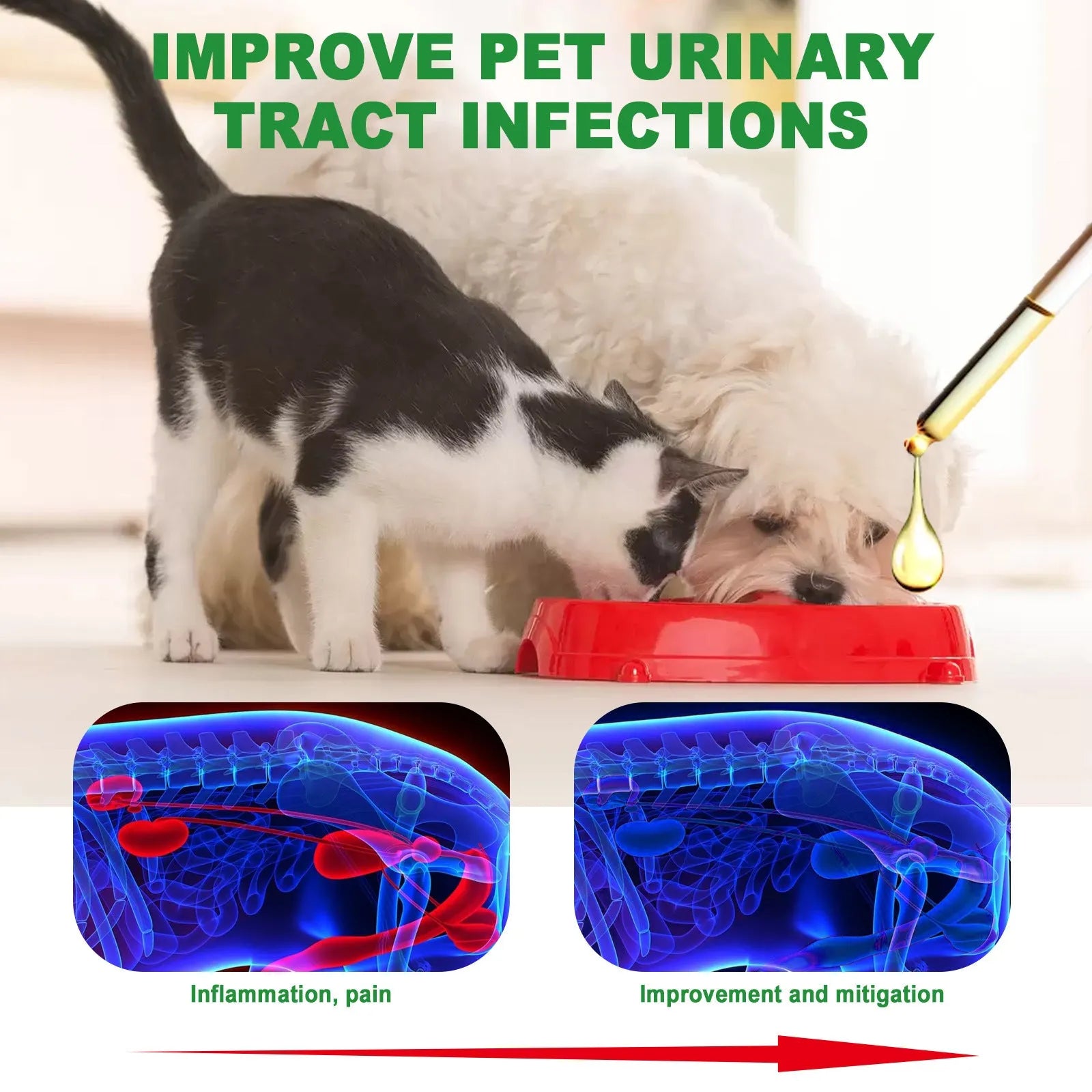 60ml pet care drops bottle with natural botanical extracts for animal comfort