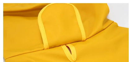 Dog wearing a yellow waterproof raincoat with a transparent brim and bellyband