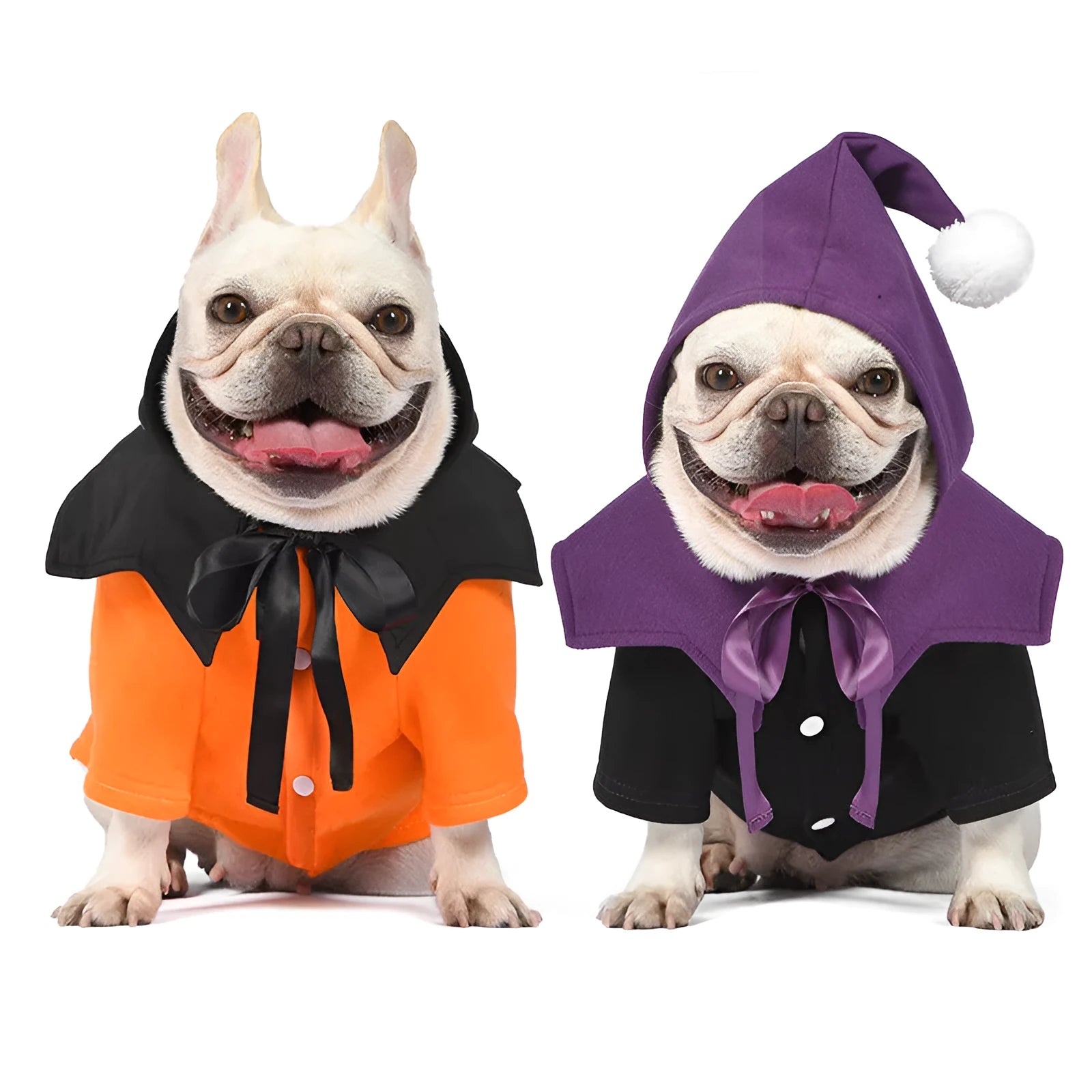 Black and orange Halloween dog costume with sweater and shawl pieces