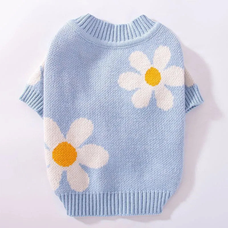 Blue and checkerboard patterned dog coats for small breeds on a white background.