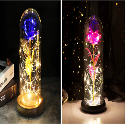 Little Prince Rose Glass Cover with 20cm diameter dome protecting plastic flower arrangement