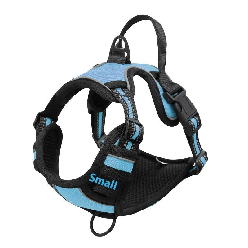 Adjustable Oxford cloth dog chest harness shown in multiple colours including red, blue, and green.