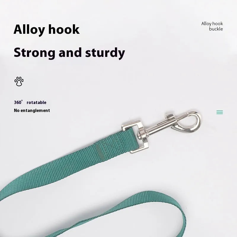 Solid colour polyester dog leash rope in hand, showing various width and colour options.