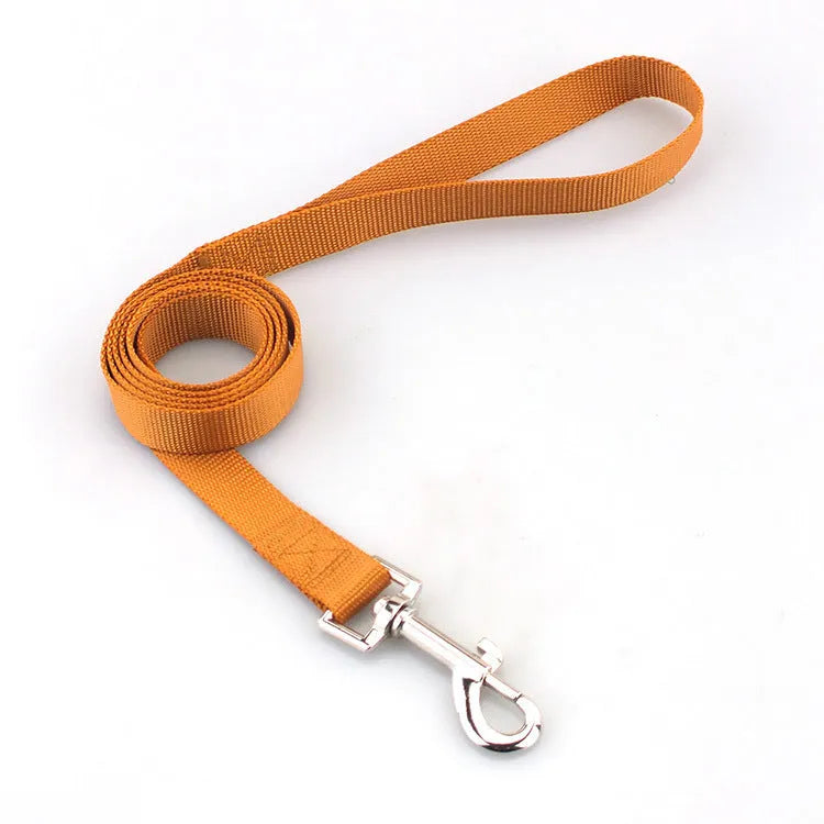 Solid colour polyester dog leash rope in hand, showing various width and colour options.
