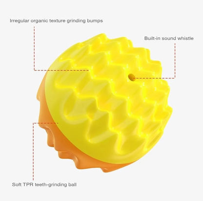 Blue and orange spiky rubber dog ball with squeaker for teeth cleaning and water fetch.
