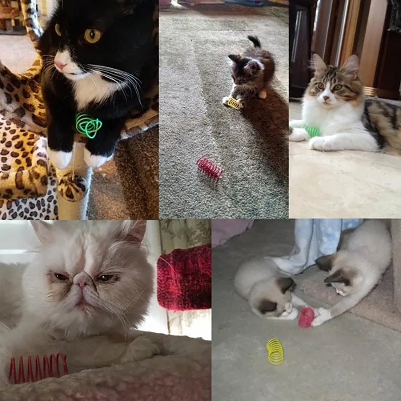 Assortment of colourful plastic coil spring toys for cats on a plain surface.