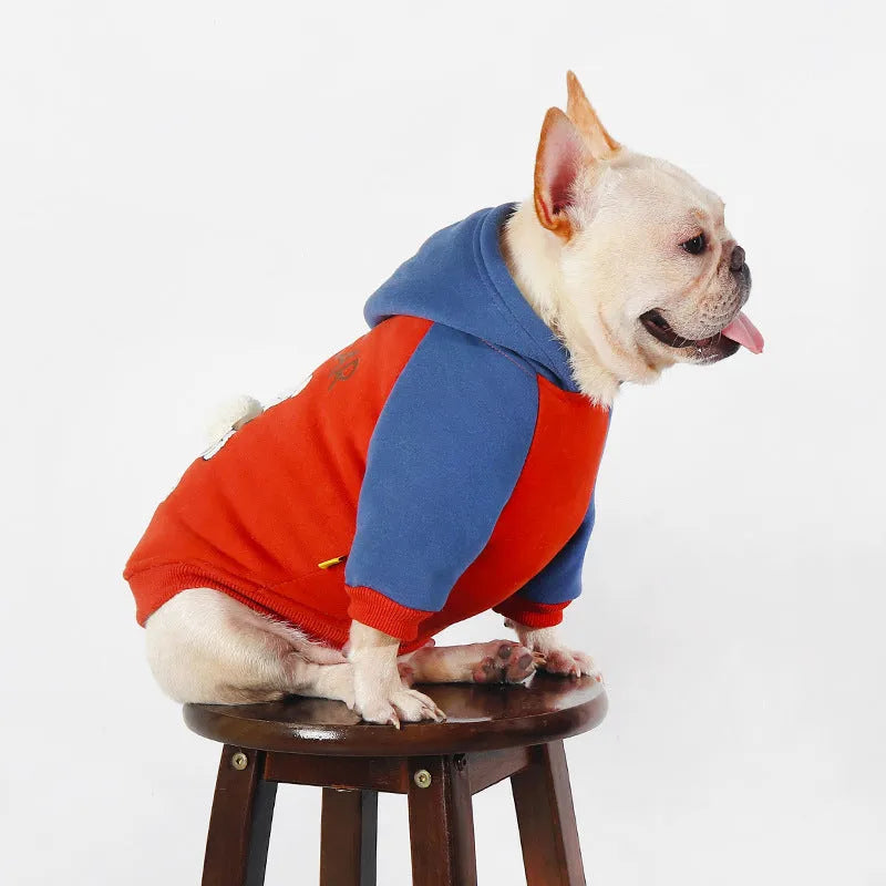 Red cotton dog coat for small to medium-sized breeds like Teddy or Corgi on a white background.