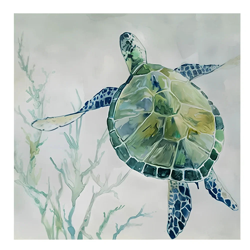 Frameless turtle canvas printing poster in 40x40cm square size with detailed picture colours