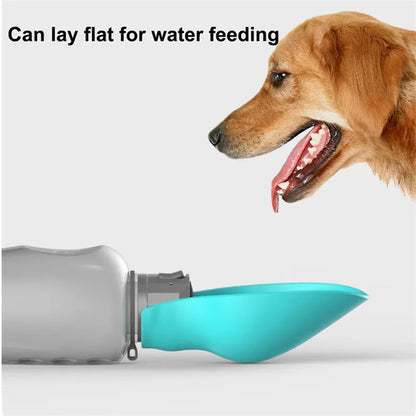 Blue grey portable dog water bottle with fold-out drinking bowl, shown with a wrist strap.