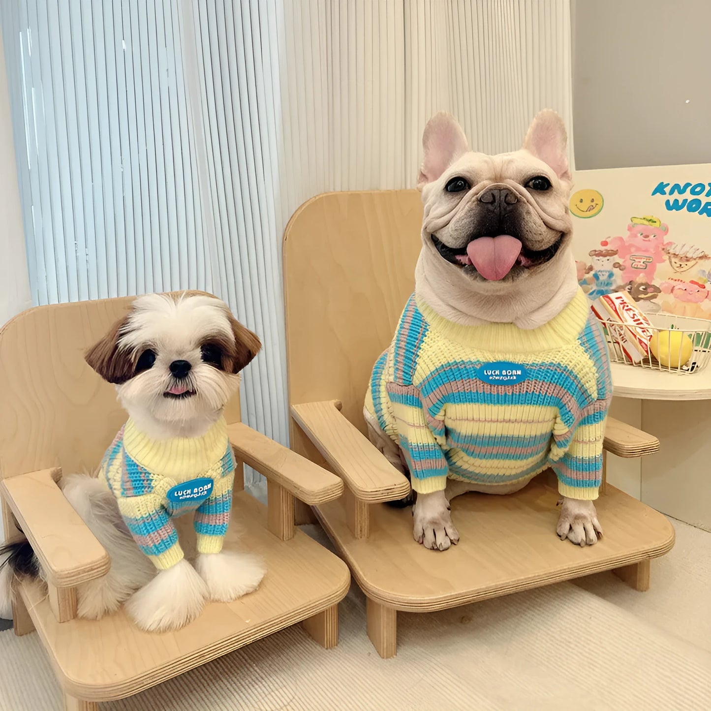 Blue and yellow striped wool-blend dog sweater for small breeds with size options
