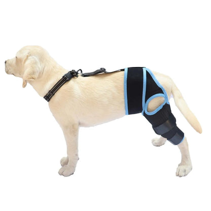 Adjustable neoprene dog hind leg support brace for hip dysplasia and arthritis.