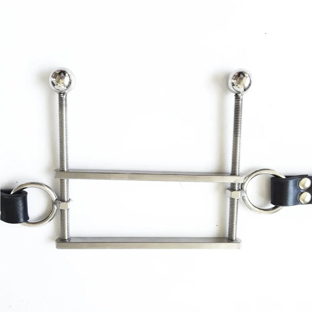 Stainless steel adult gag toy shown in black, pink, or red specification for role play use