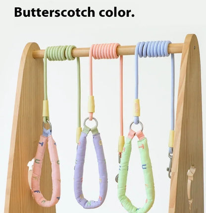 Polyester dog leash with hand holding rope in four colour options for small medium large dogs