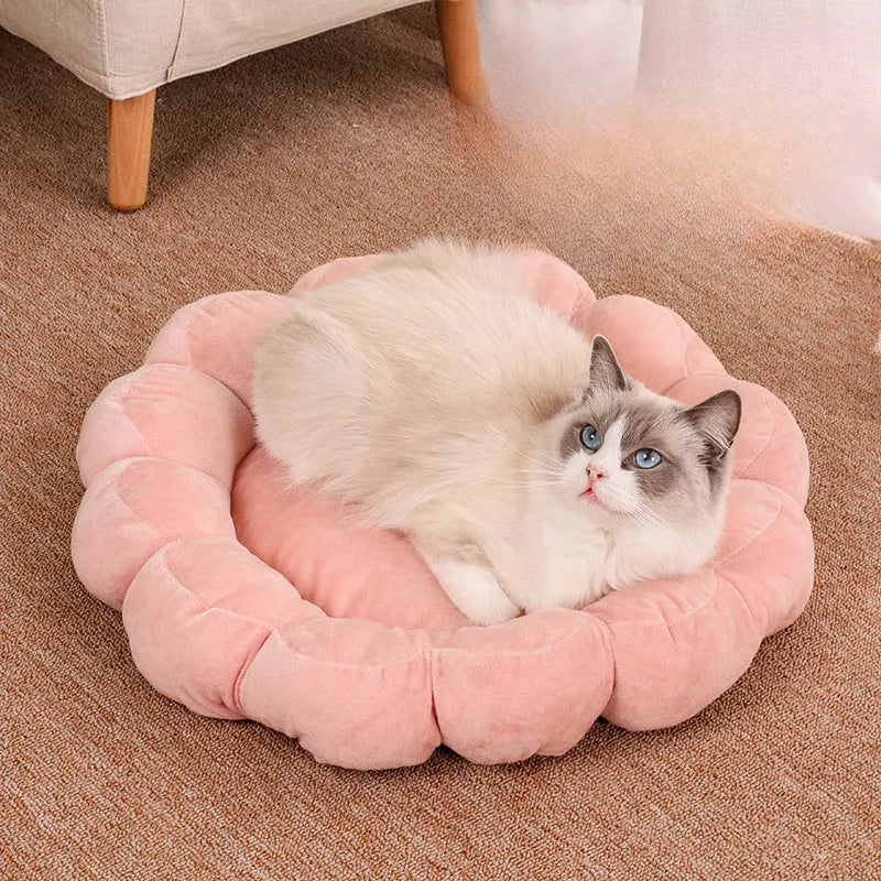Blue, grey, pink, and yellow 50cm square plush pet bed with half-surrounded petal design.