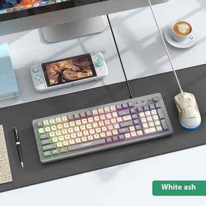 Mechanical keyboard and wireless mouse set in a chosen colour like beige gray or sky blue on a desk.