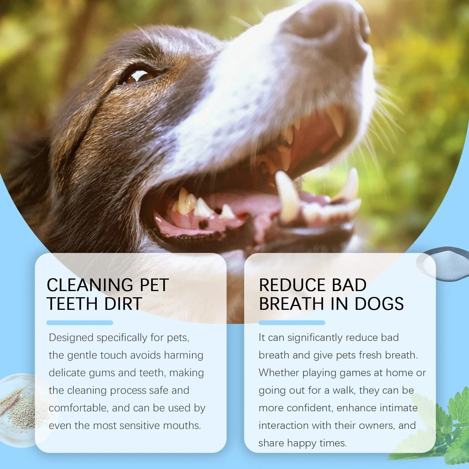 3ml soft-bristled pet toothbrush pen for cleaning dog and cat teeth.