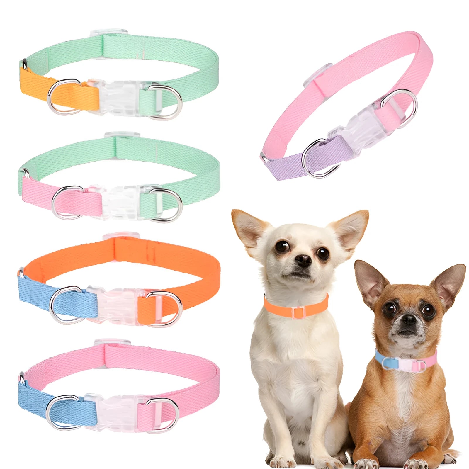 Polyester ribbon dog collar and lead set with chest strap in assorted colours.