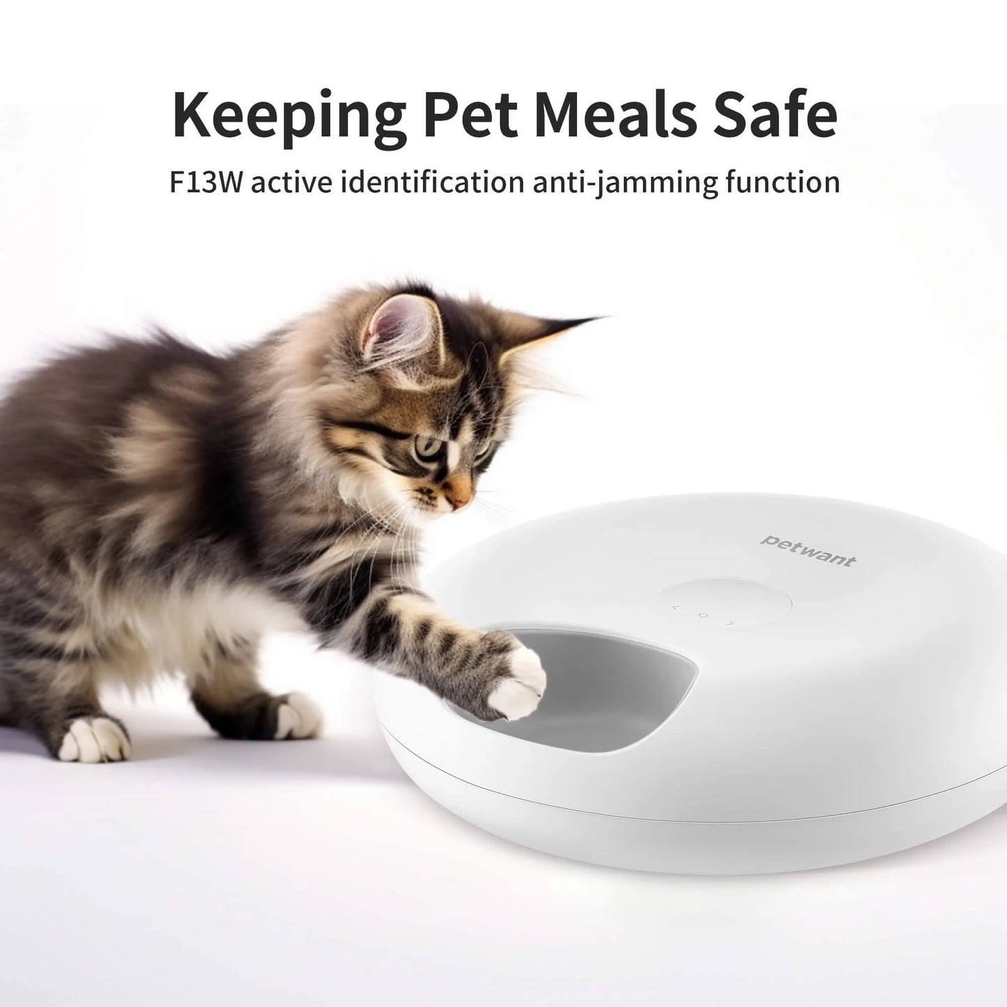 Donut Frost WiFi 6 automatic pet food dispenser with app control and ice packs for freshness
