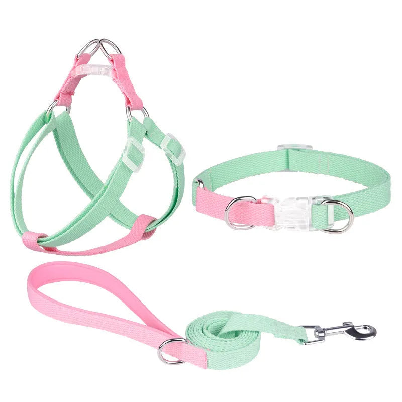 Polyester ribbon dog collar and lead set with chest strap in assorted colours.
