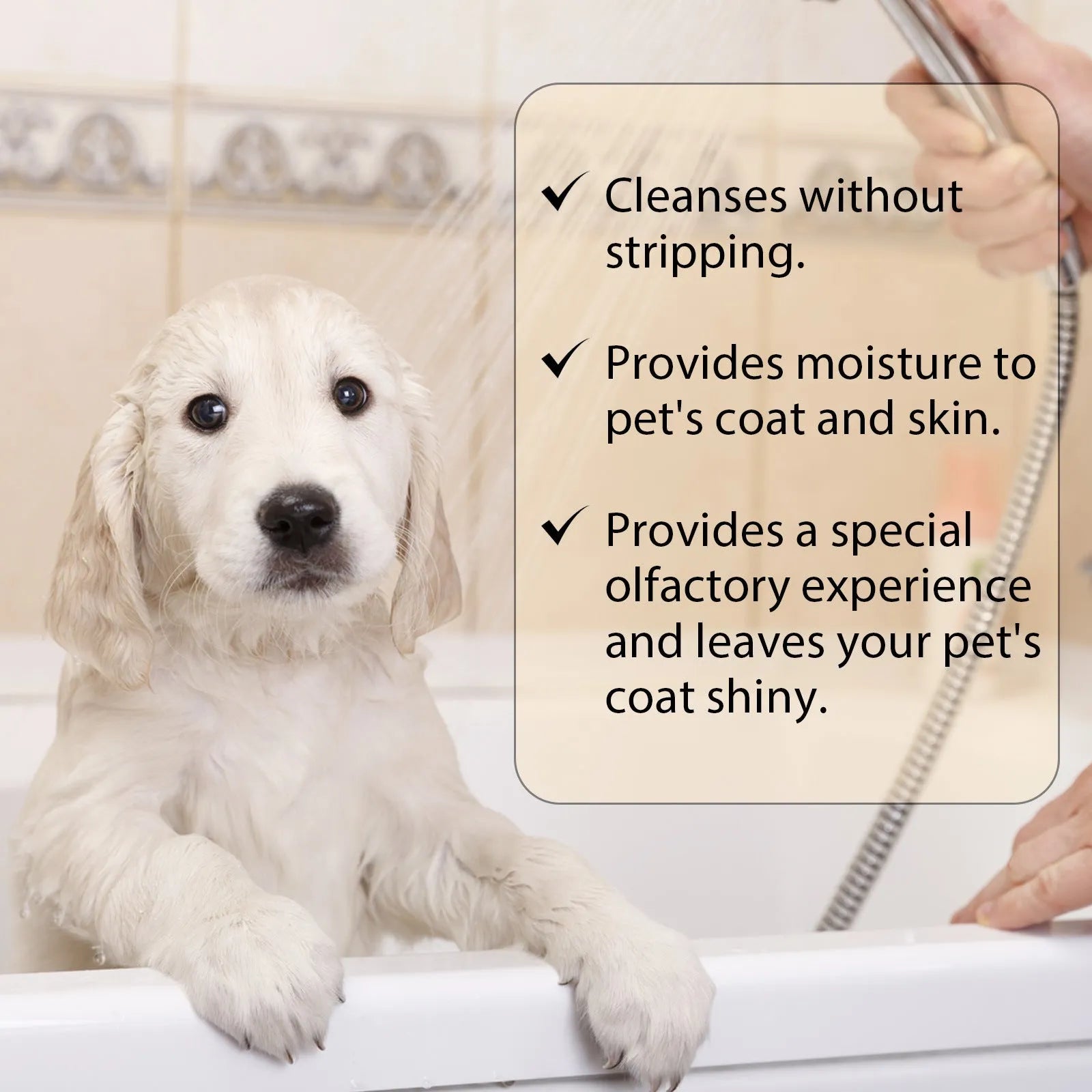 A bottle of mild pet shampoo for dogs, showing 100ml and 300ml size options.
