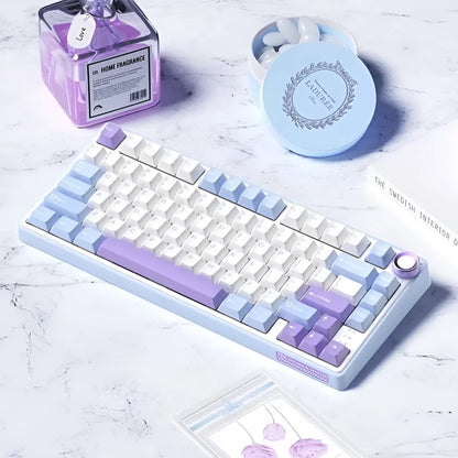 Wireless mechanical keyboard with RGB backlighting and hot-swappable key switches.