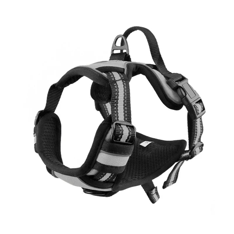 Adjustable Oxford cloth dog chest harness shown in multiple colours including red, blue, and green.