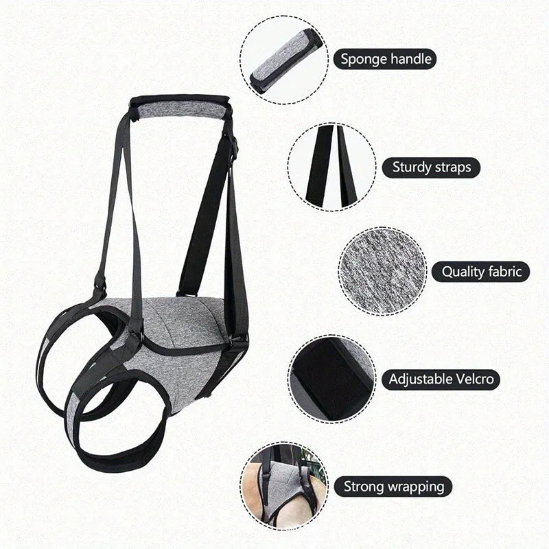 Grey neoprene recovery support belt for a dog's rear legs, showing adjustable waist and thigh straps.
