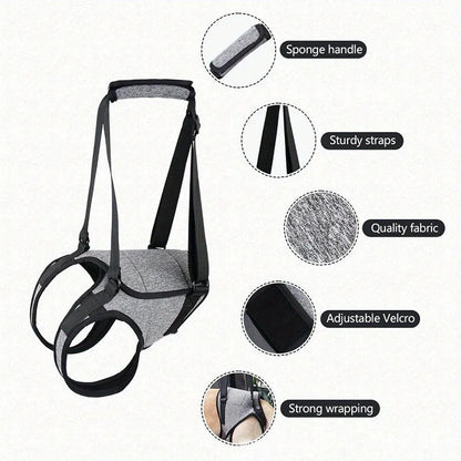 Grey neoprene recovery support belt for a dog's rear legs, showing adjustable waist and thigh straps.