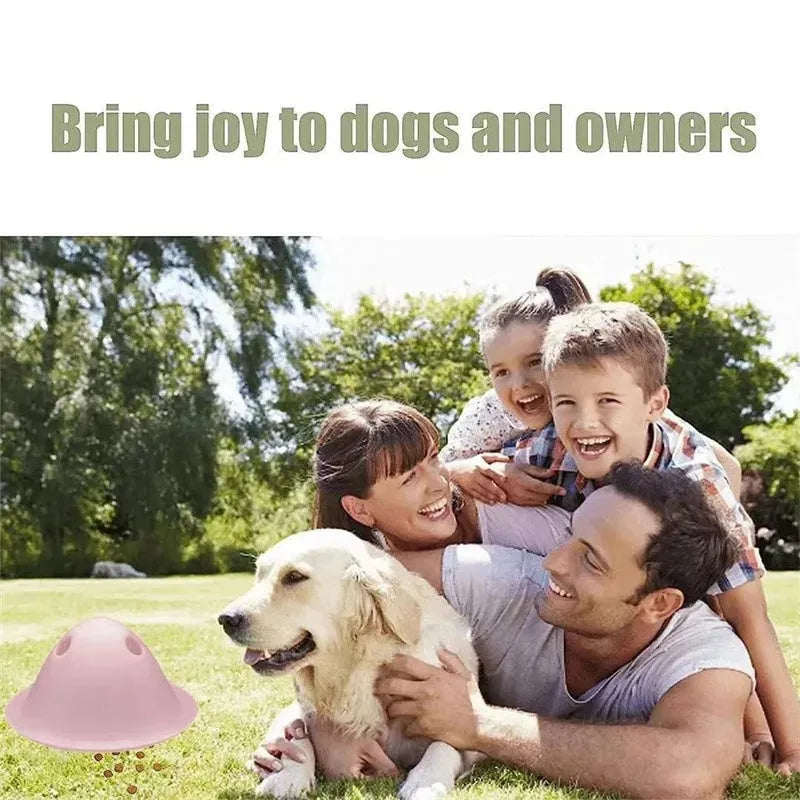 Four coloured interactive dog chew toys with treat slots on smooth surface
