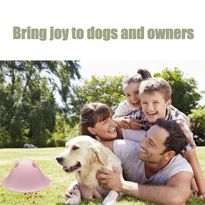 Four coloured interactive dog chew toys with treat slots on smooth surface