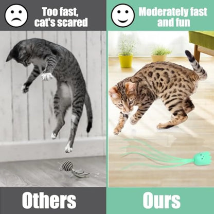 Rechargeable automatic cat wand toy with swinging silicone tails for indoor cat stimulation