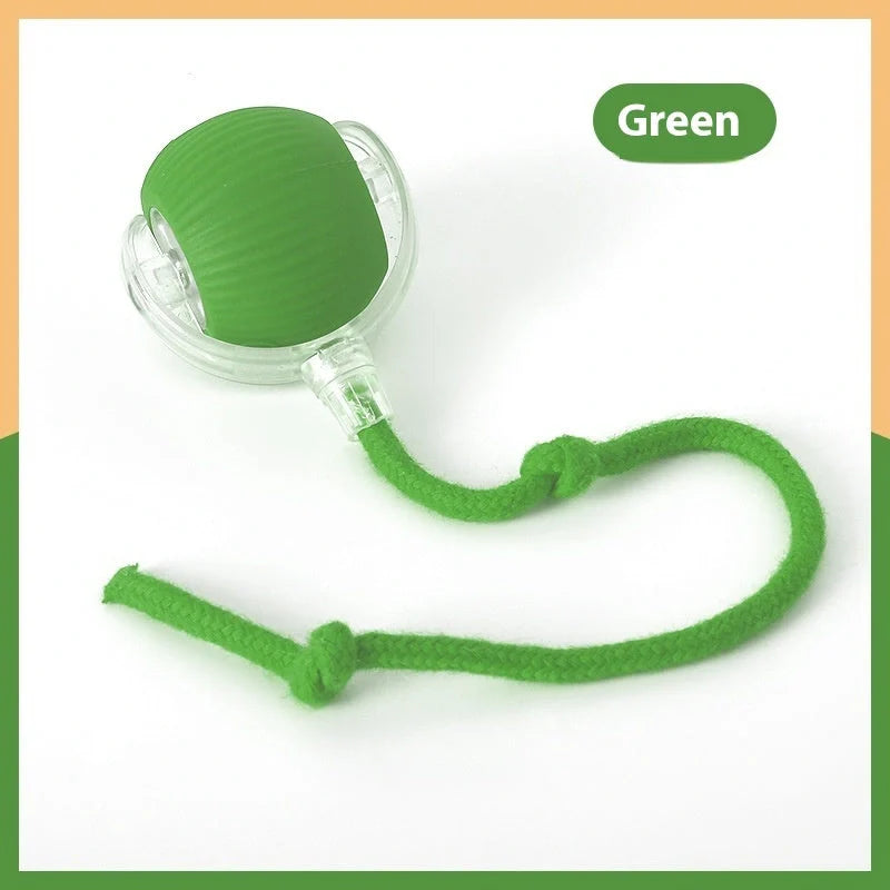 Interactive cat toy ball with automated features, rolling across various surfaces to engage and entertain your feline friend