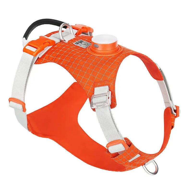 Adjustable dog chest harness with integrated LED safety light in multiple colour options