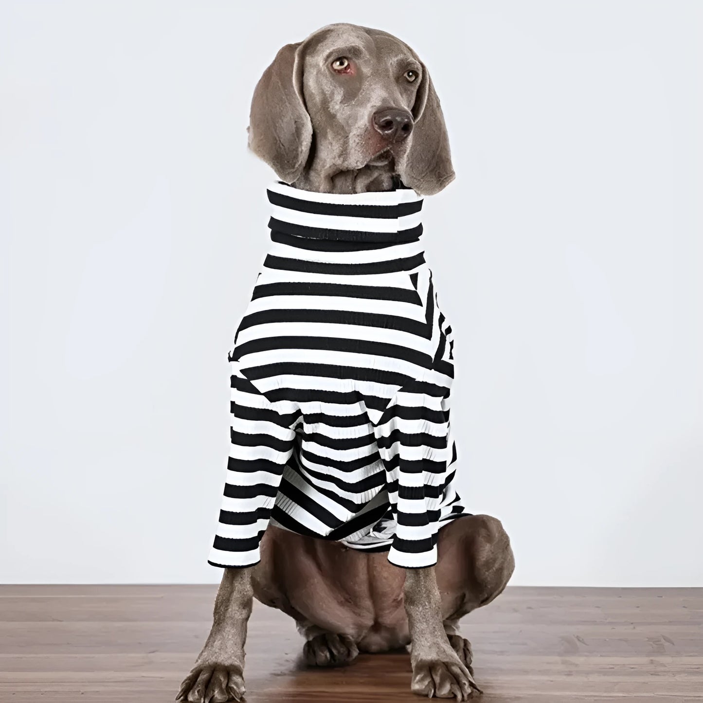 Black and white thin polyester dog coat for large breeds, sizes M to XXXL