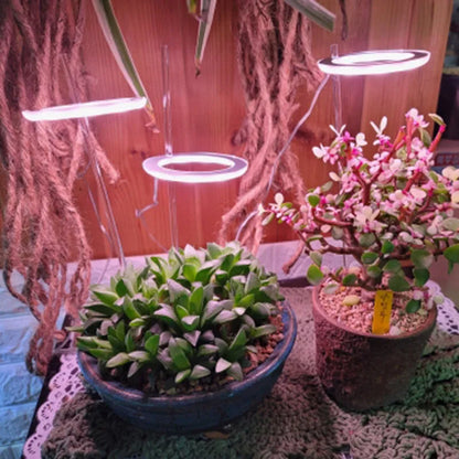USB LED grow light with angel ring design for indoor plants showing full spectrum lighting