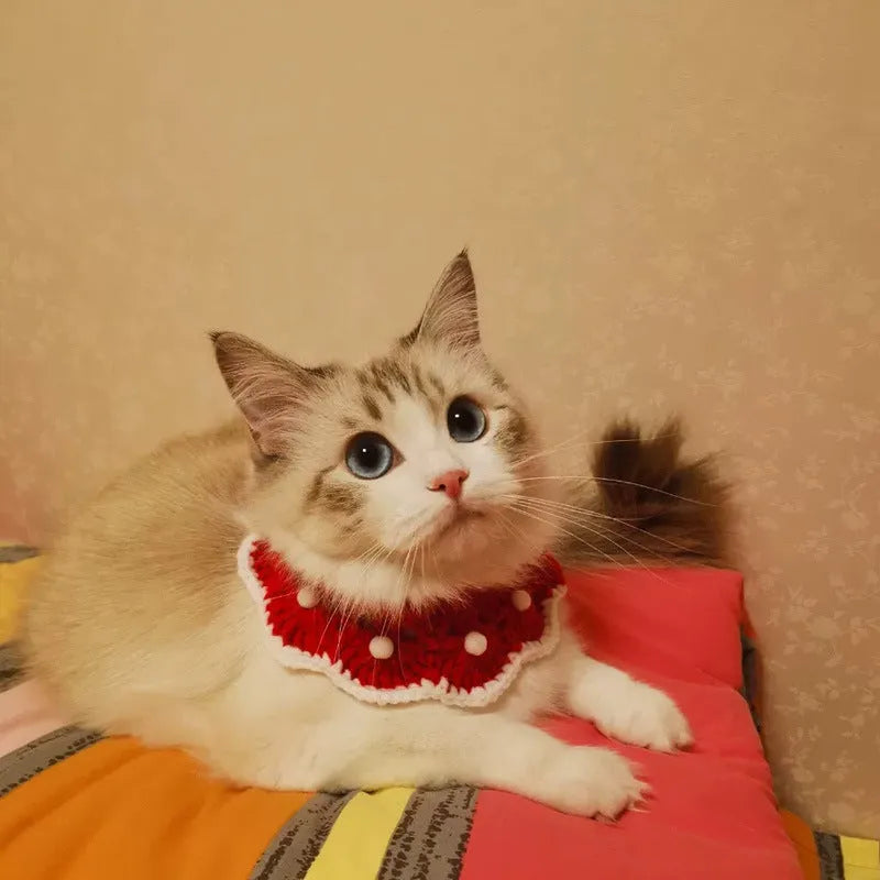 Cartoon pattern wool knitted collar for small pets in milk cotton with adjustable sizing