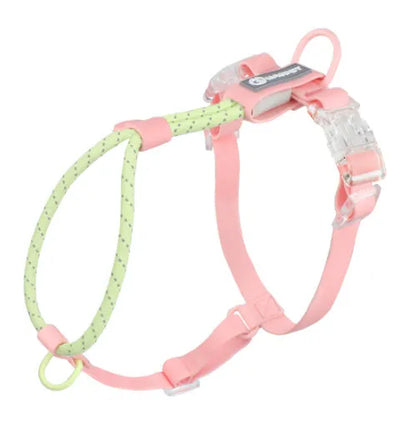 Solid colour PVC dog hand holding rope leash in dark red purple yellow showing collar attachment.